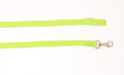 Führleine | Führstrick | Grün | Ergänzung Zum Voltigierpferd | Reiten Lernen | Holzpferd -Holzspielzeug-Peitz Gruen spiel leine holzpferd kinder garten nachhaltig