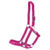 Halfter Für Voltigierpferd L&XL | Pink | Zubehör Für Holzpferd & Hobby Horse | GR-180025-0043-pink