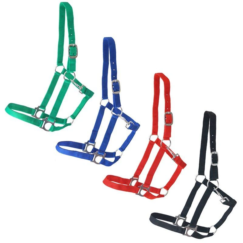 Halfter Für Voltigierpferd L&XL | Blau | Zubehör Für Holzpferd & Hobby Horse | GR-180014-0036-blau 3 Halfter Für Voltigierpferd L&XL | Blau | Zubehör Für Holzpferd & Hobby Horse | GR-180014-0036-blau