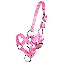 Halfter Für Holzpferd M | Pink | Zubehör Für Voltigierpferd Und Hobby Horse | GR-180014-0027-pink